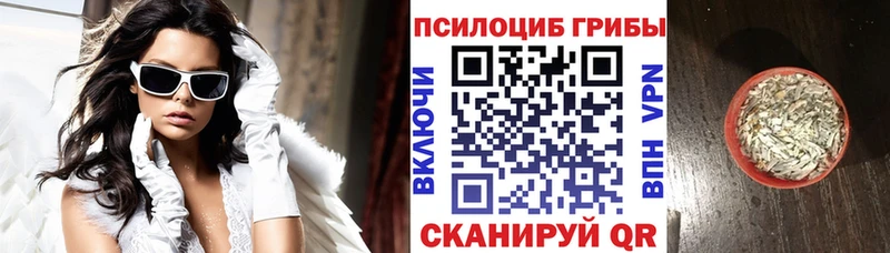 даркнет сайт  мориарти какой сайт  Псилоцибиновые грибы MAGIC MUSHROOMS  Гатчина 